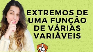 Extremos Máximos e Mínimos Inflexão Monotonia Concavidade Estudo de funções com DERIVADAS [upl. by Yrrol]