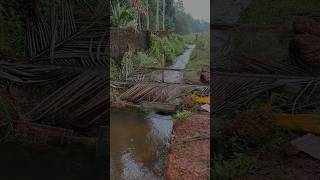 നാട്ടിൻപുറത്തെ മീൻപിടുത്തം villagefishing [upl. by Kyre889]