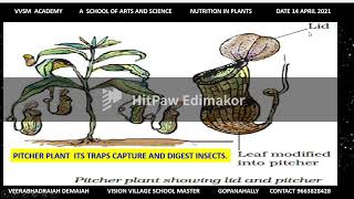 BOTANY CARNIVOROUS PLANTS [upl. by Pimbley]