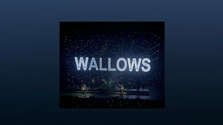 Wallows playlist [upl. by Sunday]