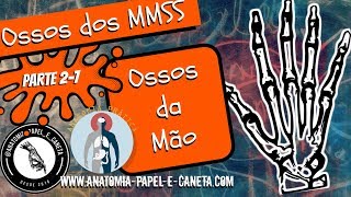 Anatomia da Mão  Ossos do Metacarpo e Falanges Aprenda DesenhandoAnatomia Prática [upl. by Adiol592]