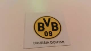 Borussia Dortmund Goal song [upl. by Shaffert]