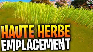 SE CACHER DANS DES HAUTES HERBES PENDANT 10 S FORTNITE EMPLACEMENT HAUTE HERBE CHAPITRE 3 FORTNITE [upl. by Ahsinyar]