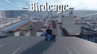 My First Month in Birdcage Birdcage [upl. by Milewski570]