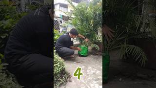 Magical homemade fertilizers  झूम उठेंगे पौधे बस ये जादूई चीजें डाल दो🥛🌿shorts viral gardening [upl. by Hermia115]