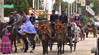 La Feria de Abril primavera en Sevilla [upl. by Olsson]