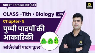 Class 11 Biology Chapter 5  पुष्पी पादपों की आकारिकी  L55  Krishnakant Sir [upl. by Ariamoy]