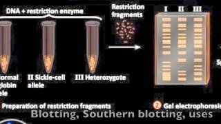 Biotechnology Review Song [upl. by Alicirp]