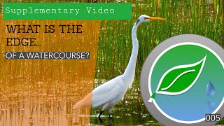 What is the edge of a watercourse Part 01 ecolegesvideos [upl. by Starkey]