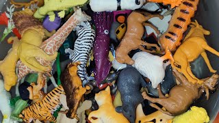 Zoo animals toys live stream  plastic animal toys review [upl. by Viccora]