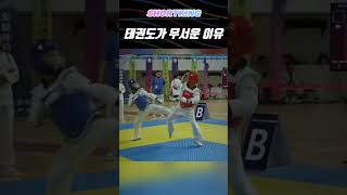 Why Taekwondo Is Scary 태권도 [upl. by Zanlog224]