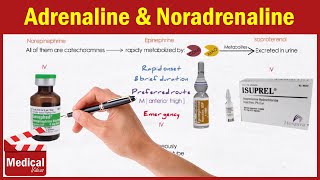 Pharmacology ANS 14 Direct Acting Adrenergic Agonists Adrenaline  Noradrenaline Isoprenaline [upl. by Deragon]