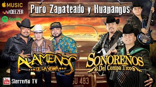 MIX Cumbias Sierreñas  Alameños de La Sierra amp Sonoreños Del Compa Tico [upl. by Ursulette]