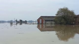 Maltempo nel Reggiano esonda il Crostolo allagamenti a Cadelbosco [upl. by Cadman823]