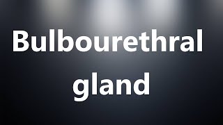 Bulbourethral gland  Medical Meaning [upl. by Miah]