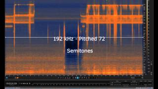 Microwave sound recorded 192 kHz  Valve Microphone [upl. by Aneis]