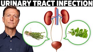 1 Best Remedy for a UTI Urinary Tract Infection [upl. by Ander]