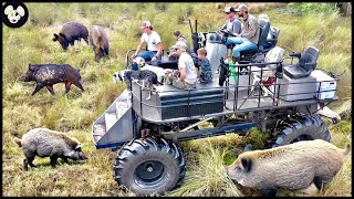 Why Wild Boar Are The Most Invasive Species In Canada  The Way Farmers Deal With Wild Boars [upl. by Krefetz]