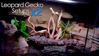 TWO New Leopard Gecko Setups  Naturalistic Tanks [upl. by Novyad760]