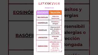 LEUCOCITOS Neutrófilos Eosinófilos Basófilos Monocitos Linfocitos eir enfermeria oposiciones [upl. by Blank40]