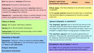 Effective Evaluation [upl. by Ylicic]