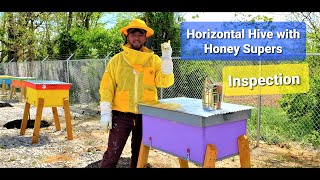 Horizontal Hive with Honey Supers Inspection horizontalhive horizontalhiveinspection honeybees [upl. by Eneryc879]