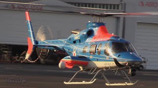 【Tokyo Heliport】Various Helicopter Takeoffs and Landings [upl. by Donaugh113]