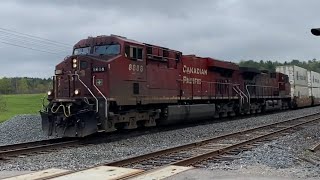 CP 8888 intermodal train at Palgrave MAY 5 2024 [upl. by Atinob]