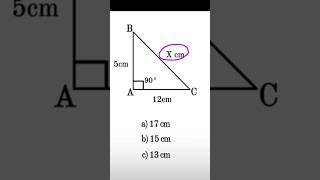 Pythagoras video pythagorastheorem shorts shortsfeed shortvideo trending viralvideo ssc [upl. by Yatnuahc]