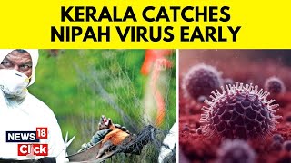 Nipah Virus News Updates  Relief For Kerala As No New Cases Of Nipah Virus Found  N18V [upl. by Allina]