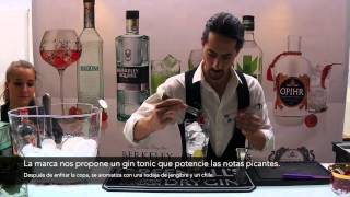 Gin tonic especiado con ginebra Opihr [upl. by Pisarik]