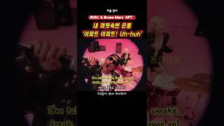 로제 브루노 마스 아파트 가사 해석  미친 중독성을 조심하시오 ROSÉ amp Bruno Mars APT [upl. by Voccola]