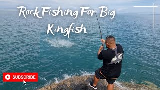 Big Live Bait Catches Big Kingfish A Day to Remember  4K [upl. by Allveta]