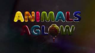 Animals Aglow Lantern Festival at Saint Louis Zoo TV Commercial [upl. by Ofilia]