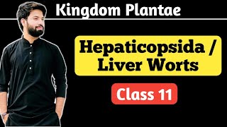 General Characteristics Of Hepaticopsida  Liver Worts  Class 11 [upl. by Carlotta149]