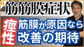 【リハビリと筋膜】2 脳卒中片麻痺と疼痛・痙性 臨床での評価視点と介入の幅が広がる！ [upl. by Farlay132]