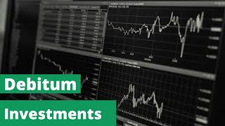 Debitum Investments P2P Platform Review my Results After 6 Months of Investing [upl. by Nets]