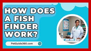 How Does A Fish Finder Work  PetGuide360com [upl. by Koren112]