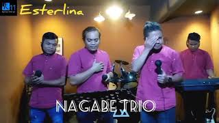 Esterlina  Cover  Nagabe Trio  Ronni Pangaribuan [upl. by Elsbeth595]