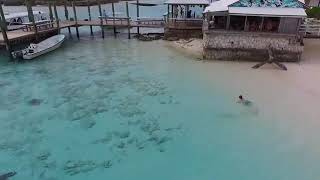 Un bambino alle Bahamas si salva da un attacco di squali [upl. by Chelsea]