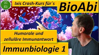 Immunbiologie 1 Humorale  zelluläre Immunantwort  Anwendungsaufgaben analysiert  Fit für´s BioAbi [upl. by Maharva]