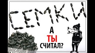 Посчитал ВСЕ СЕМКИ в пачке семечек А ты считал [upl. by Sedicla]