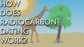 How Does Radiocarbon Dating Work  Instant Egghead 28 [upl. by Kcyrred374]