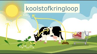 De koolstofkringloop [upl. by Freedman]