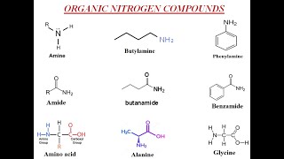 Amines Amides Amino acids Proteins  A2 Chemistry  Dr Hanaa Assil [upl. by Merrile302]