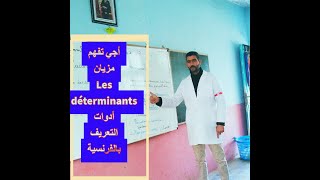 Apprendre les déterminants facilement أدوات التعريف بالفرنسية شرح بالعربية والفرنسية [upl. by Daegal]