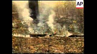 Greece  Wildfires Us  Firefighters Battle Wildfires In California And Florida Russia  Forest Fi [upl. by Hortensa276]