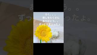 別れは急にくる。ハムスター ハムスターのいる生活 ハムスター動画 斜頸別れ 永眠寂しい 幸せな時間 ありがとう [upl. by Jehius992]