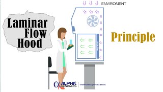 Principle and Working of Laminar Flow Hood English [upl. by Hungarian]