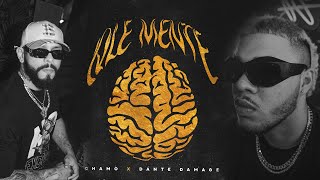 QLE MENTE 🧠  Dante Damage Chamo Official Video [upl. by Leirbag217]